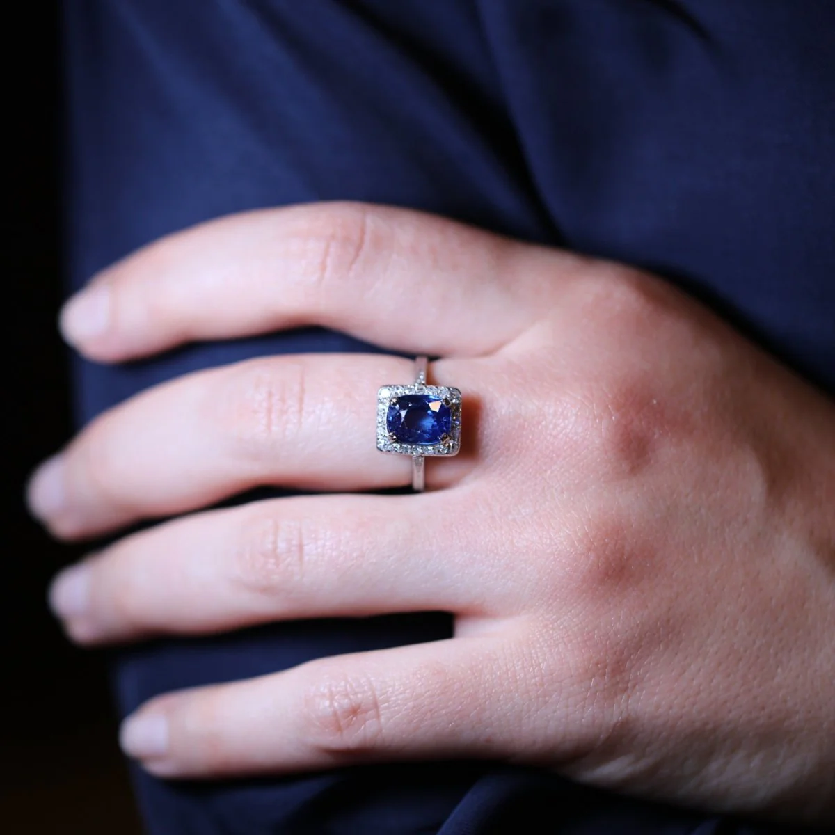 Entourage ring in white gold, platinum, sapphire and diamonds - Image 2